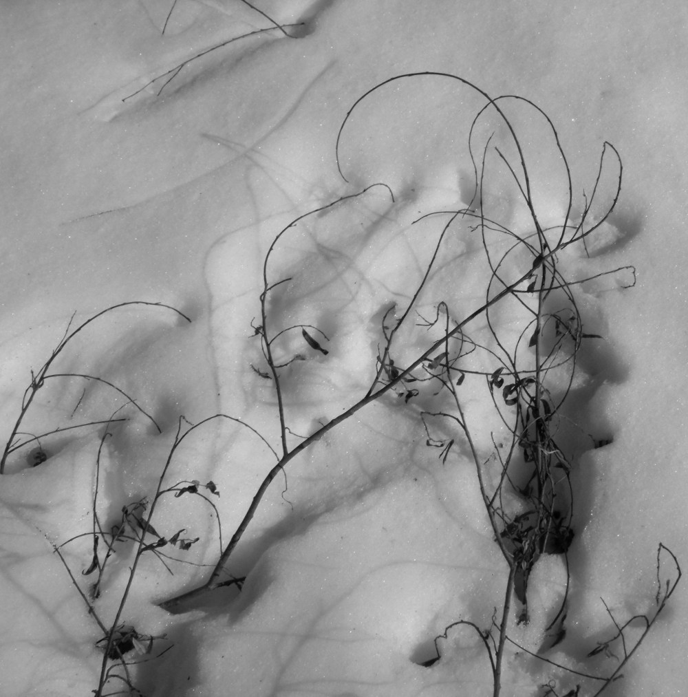 GEDSC DIGITAL CAMERA