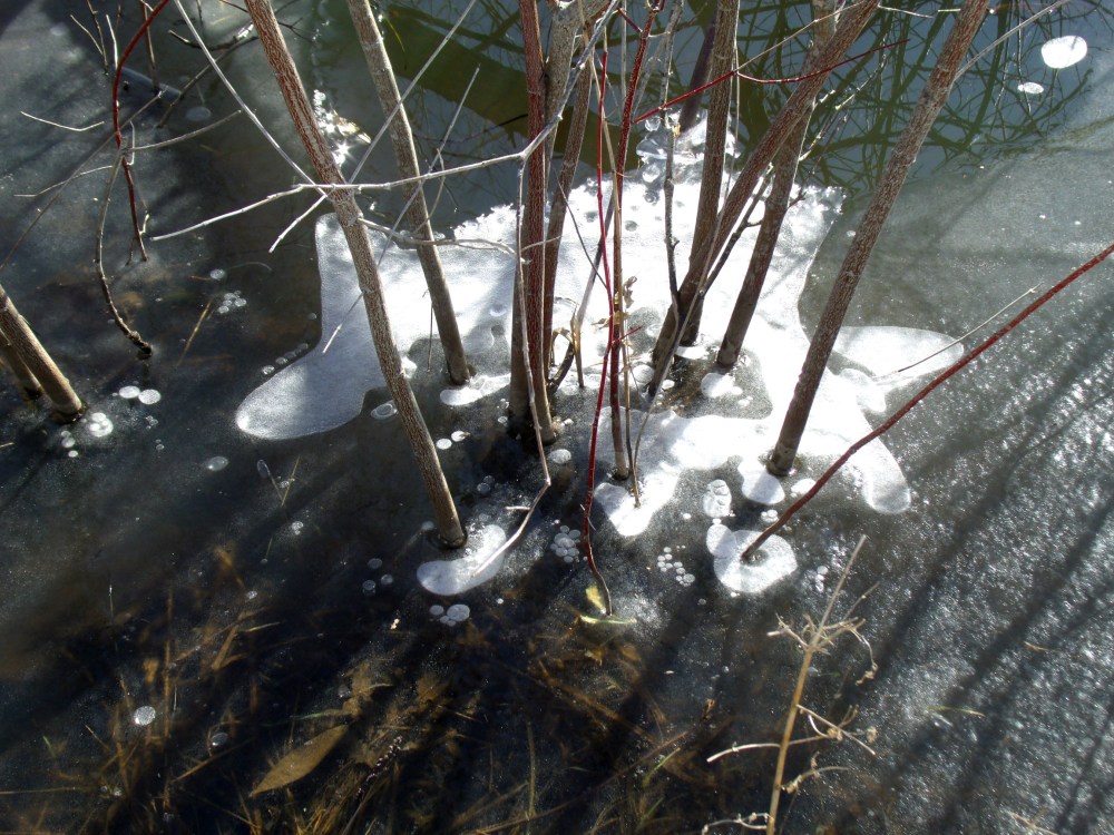 GEDSC DIGITAL CAMERA