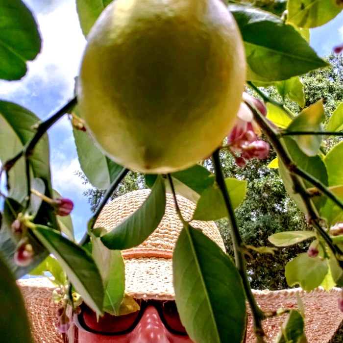 Kathleen and the lemon photo_contrast mod