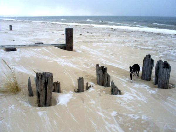 ludington with chaun