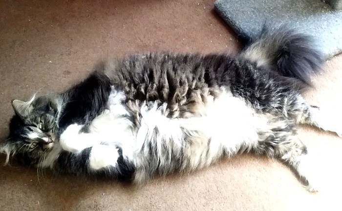 Mlady 051820scaled down