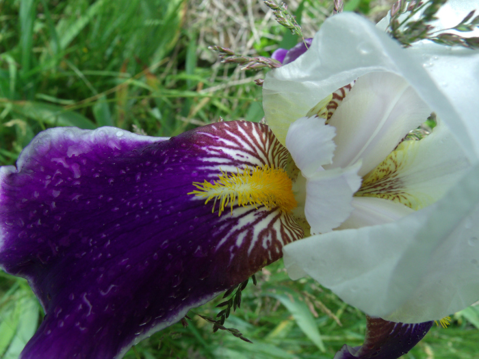 GEDSC DIGITAL CAMERA