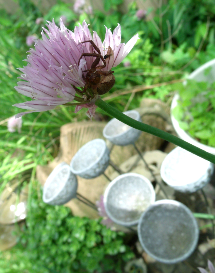 GEDSC DIGITAL CAMERA