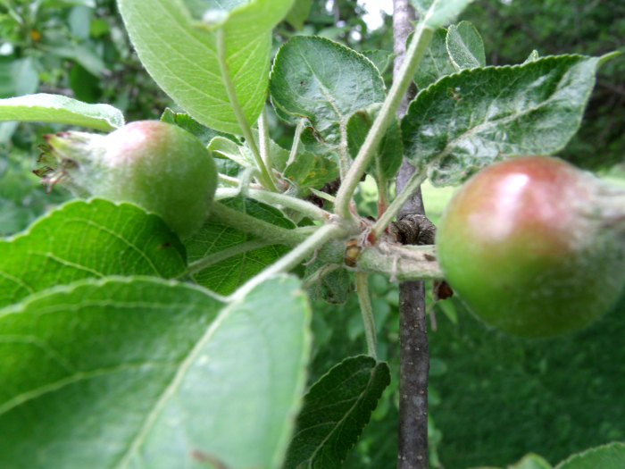 GEDSC DIGITAL CAMERA