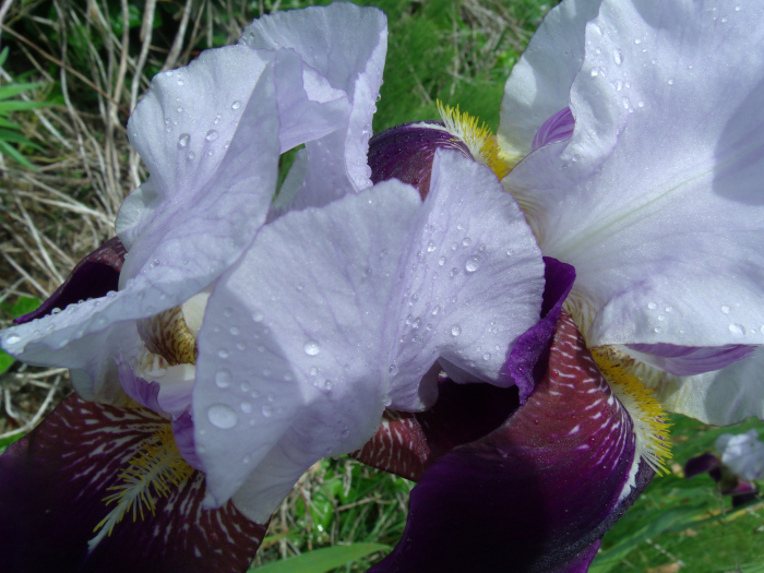 GEDSC DIGITAL CAMERA