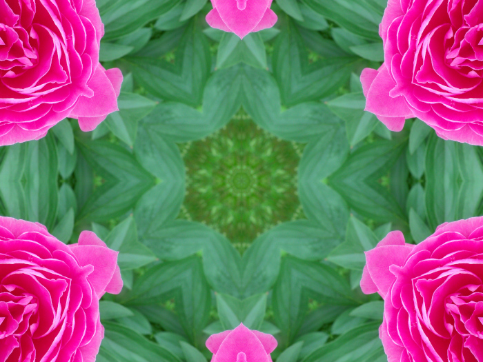 GEDSC DIGITAL CAMERA