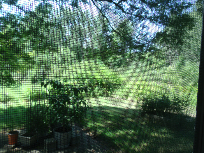 GEDSC DIGITAL CAMERA