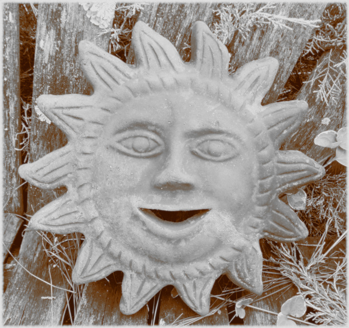 GEDSC DIGITAL CAMERA