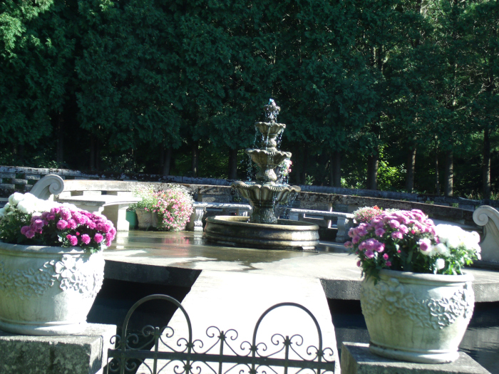 GEDSC DIGITAL CAMERA