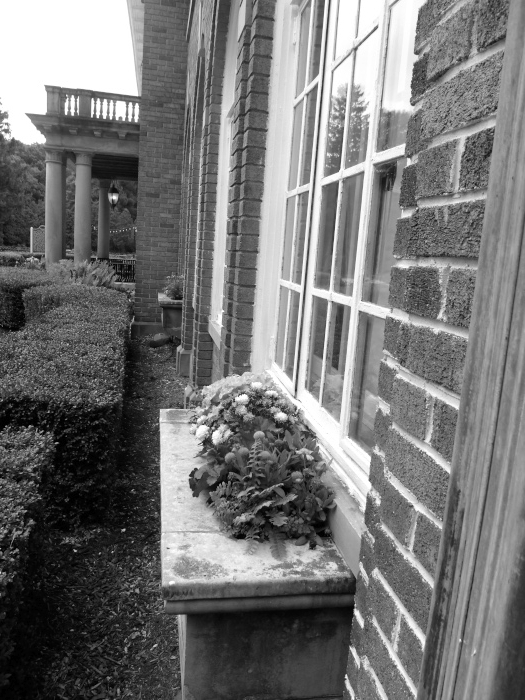 GEDSC DIGITAL CAMERA