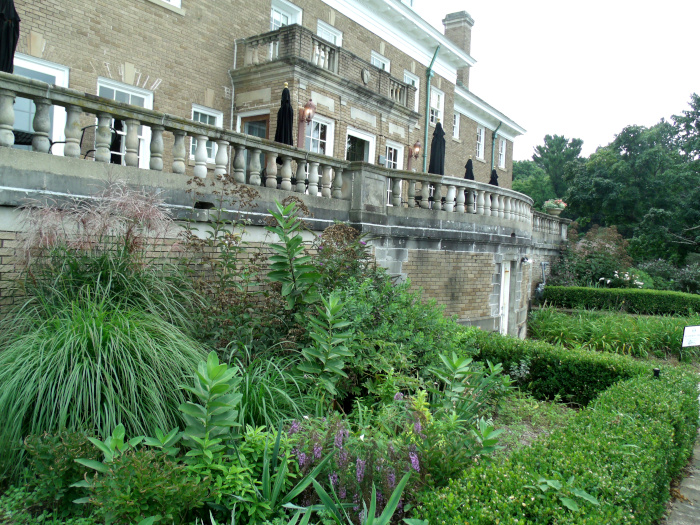 GEDSC DIGITAL CAMERA