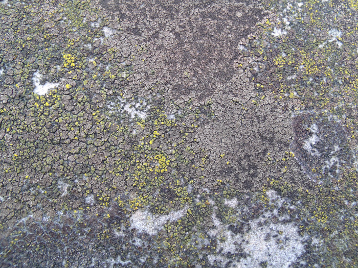 GEDSC DIGITAL CAMERA