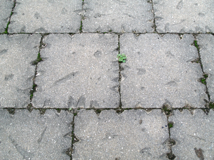 GEDSC DIGITAL CAMERA