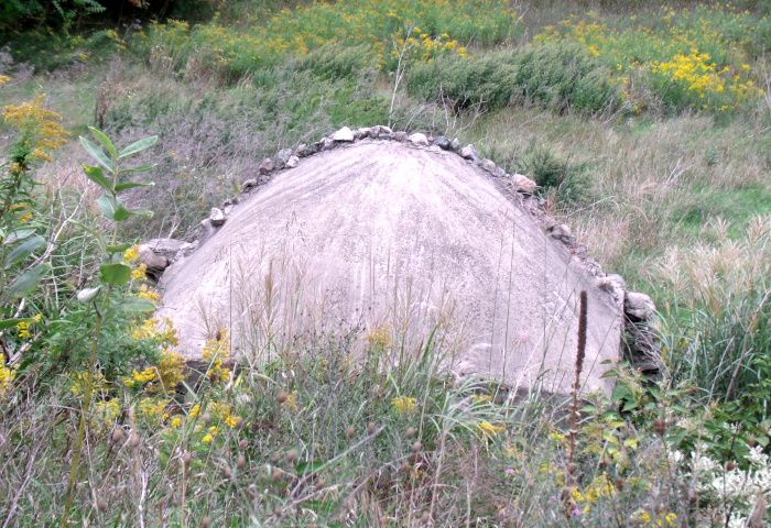 GEDSC DIGITAL CAMERA