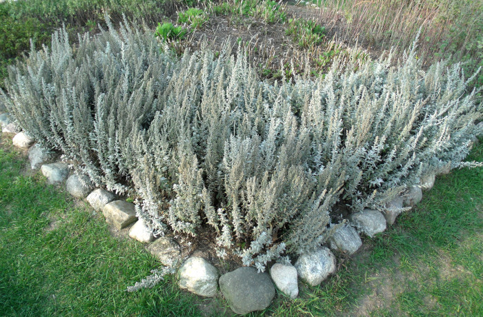 GEDSC DIGITAL CAMERA