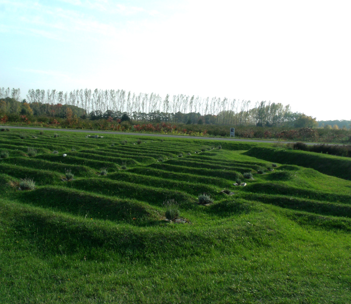 GEDSC DIGITAL CAMERA