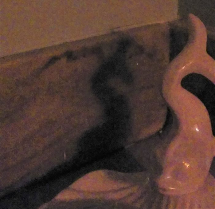dragon shadow soap dish