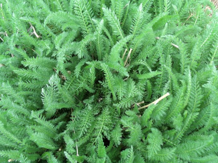 resized also forgot its name 050821