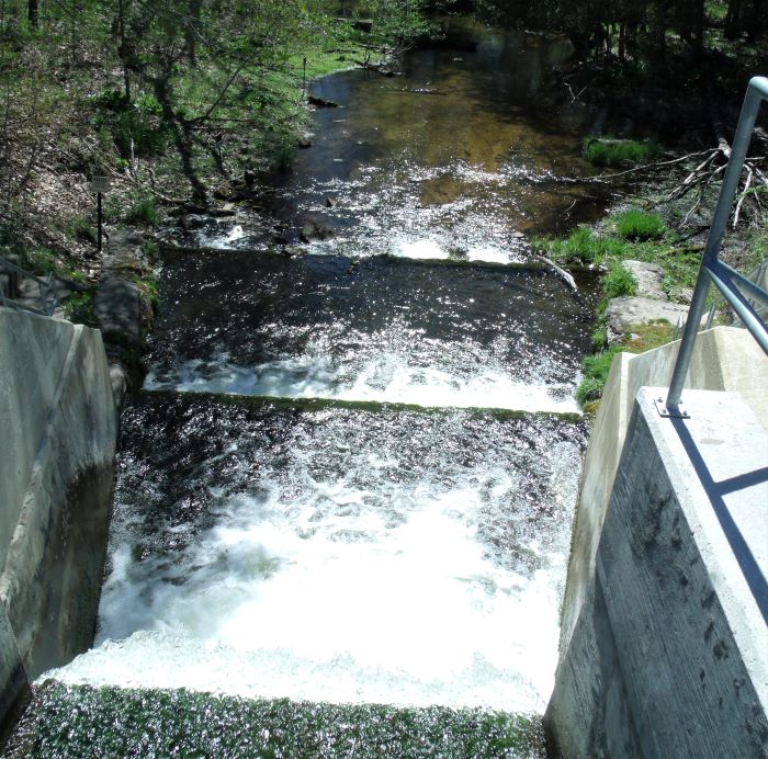 resized larger overflow for browns pond 050521 GEDC1238 (2)