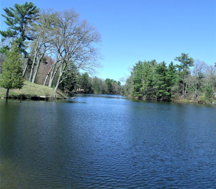 resized long shot browns pond 050521 GEDC1232 (2)