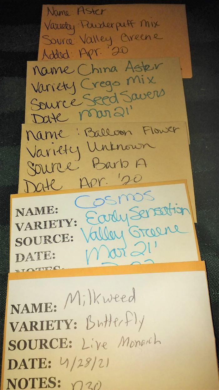 seed packets from seed bank 050321 resized