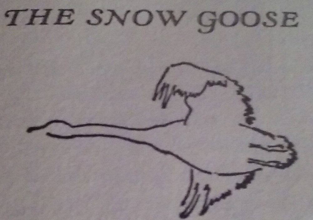 the snow goose cropped