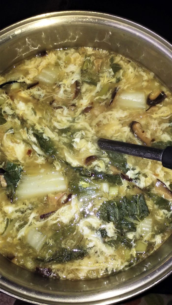 resized hot and sour soup made for the first time 082221