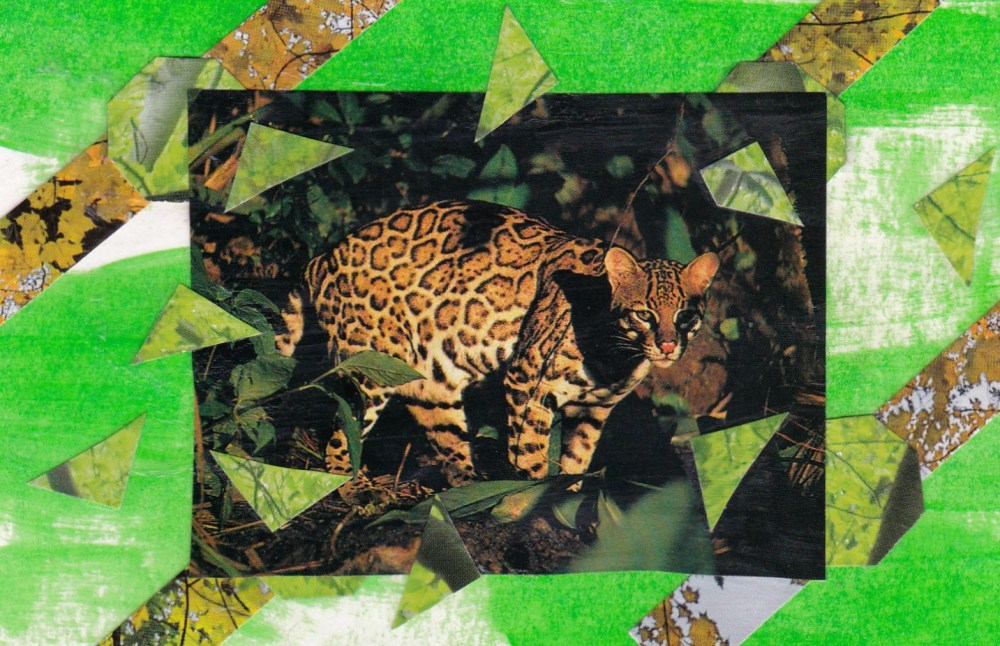 green jungle cat