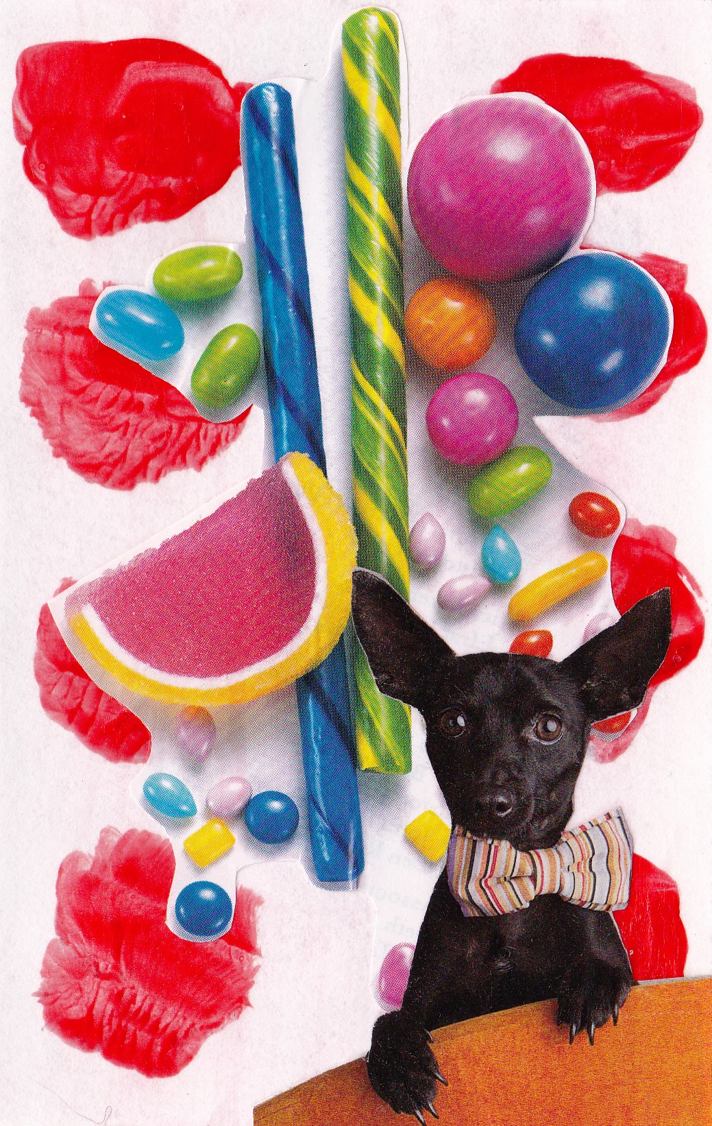 orange dog candy party