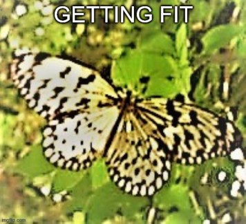 Getting Fit Banner 100821
