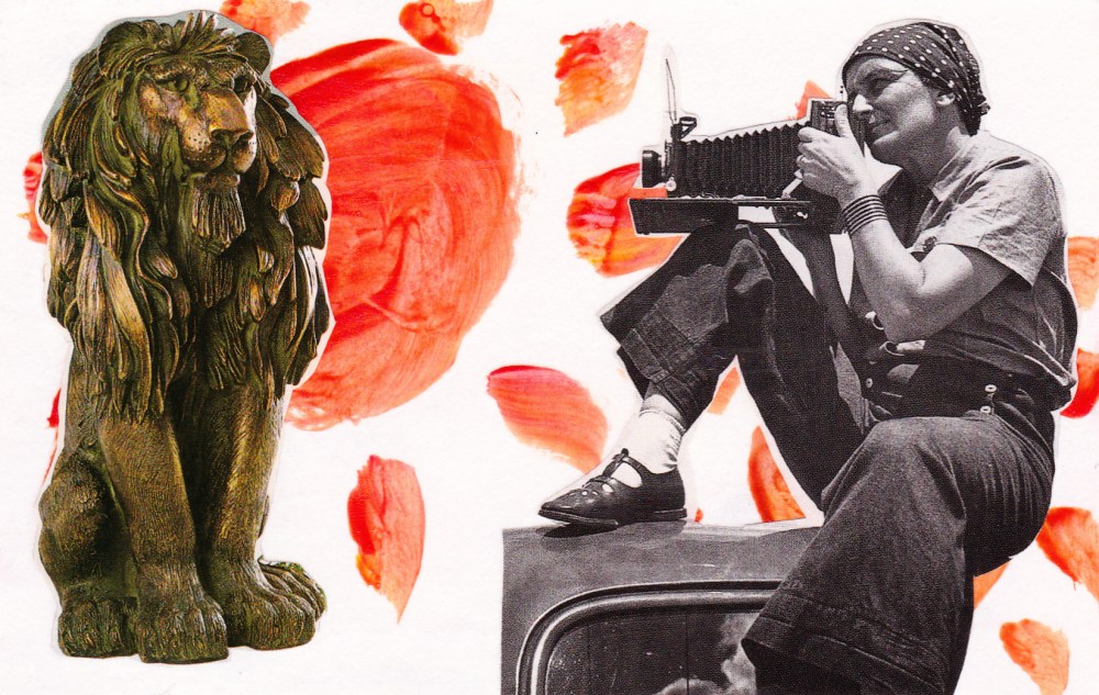orange woman photographing lion