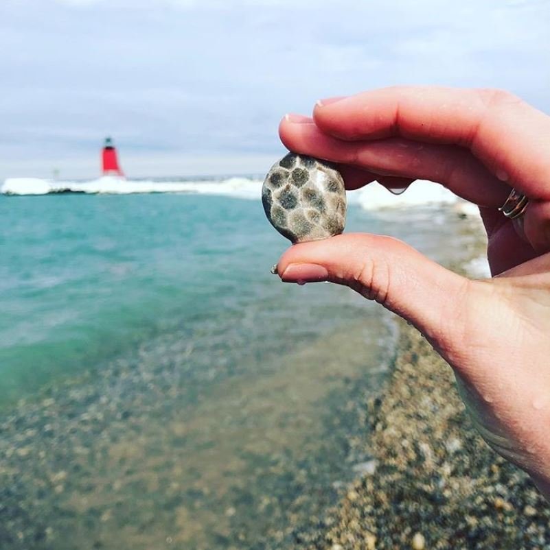 petoskey stone