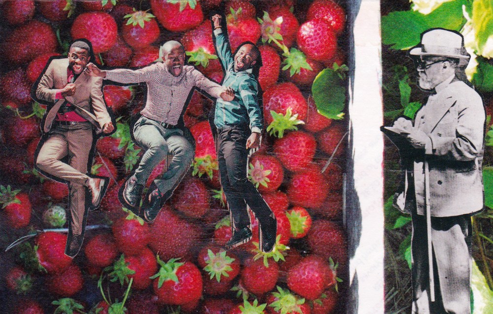 red strawberries 3 men and freud