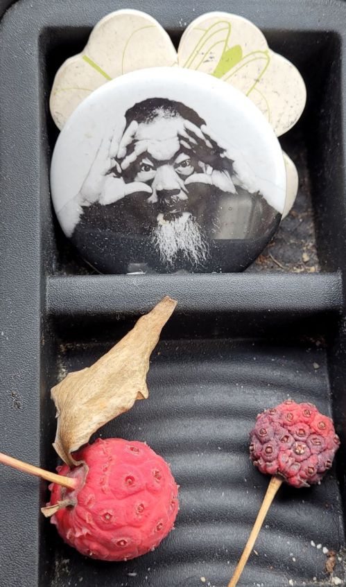 resized kousa fruit with ai weiwei 100521