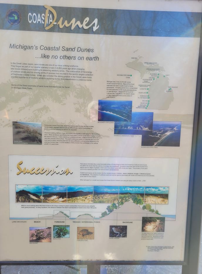 resized dune ecology poster at campground 121221