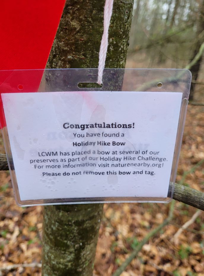 resized holiday hike bow label 122421