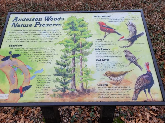 resized info about anderson woods nature preserve 122421