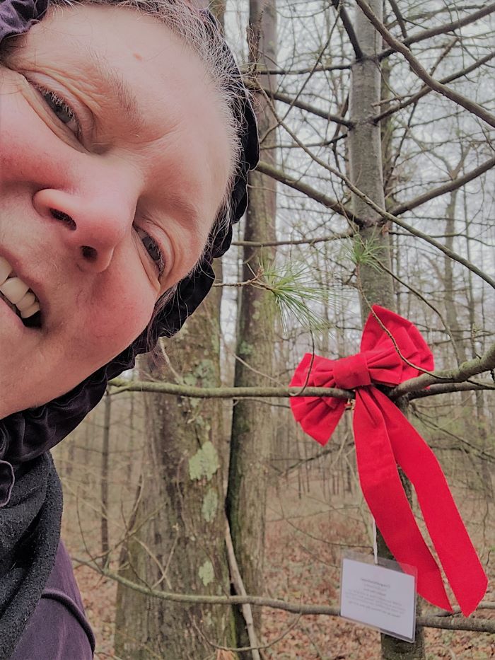 resized me with holiday trail bow 122421