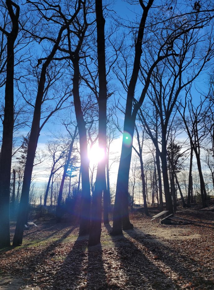 resized sun thru trees with lake background 121221