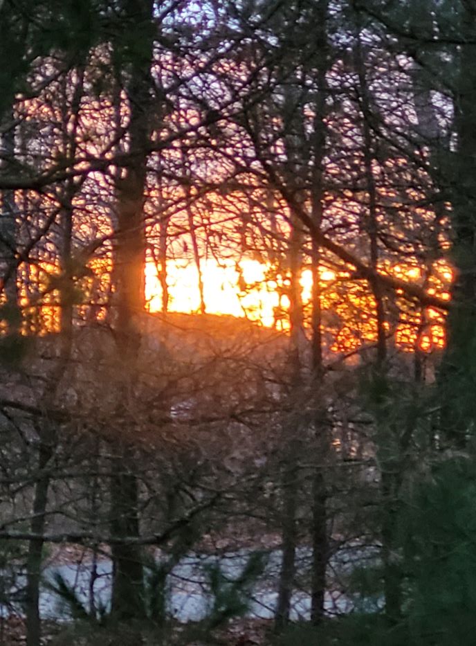 resized sunset through the trees at dlsp 120221