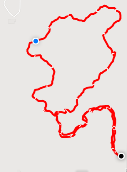 walk at anderson woods