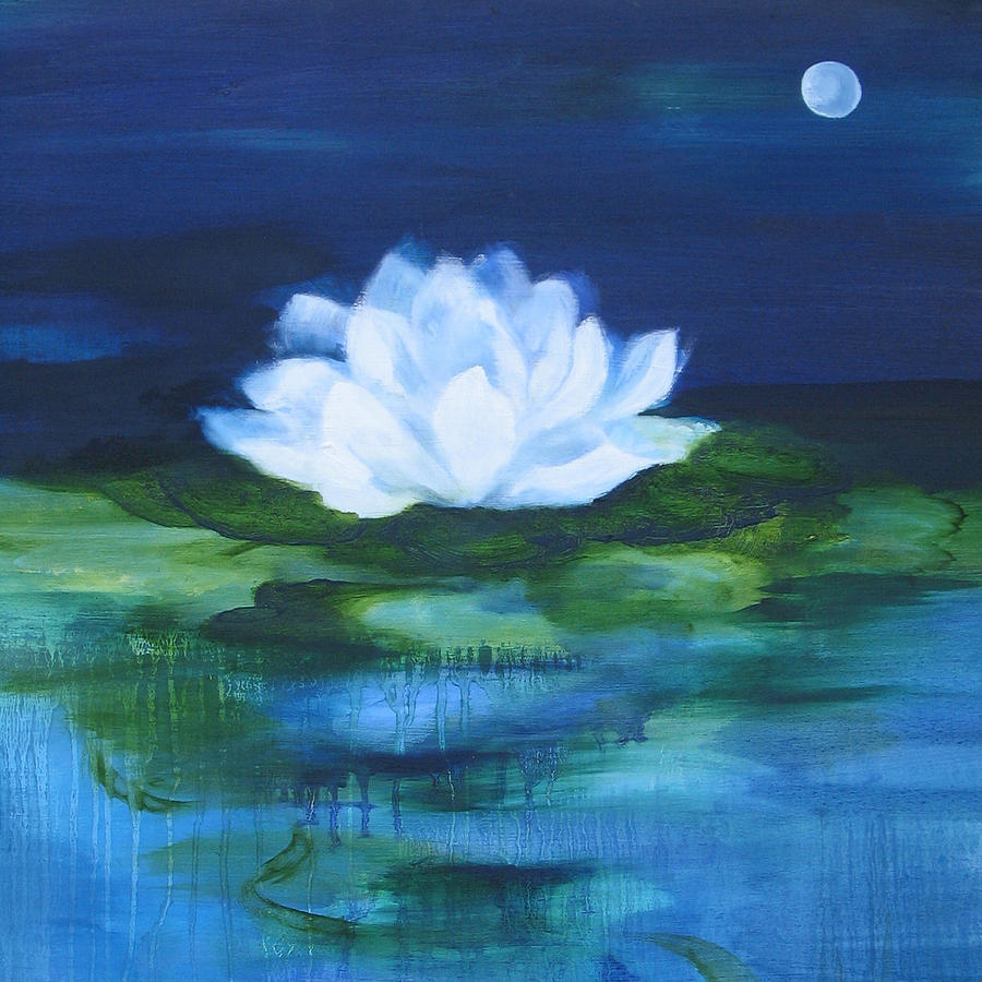 white lotus at night
