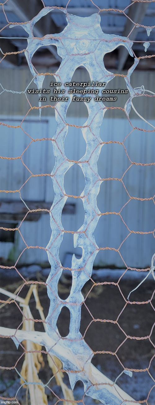 ice caterpillar 012222