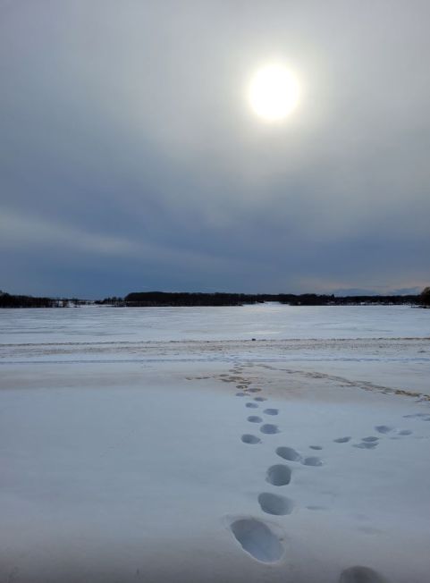 resized footsteps to lake in winter
