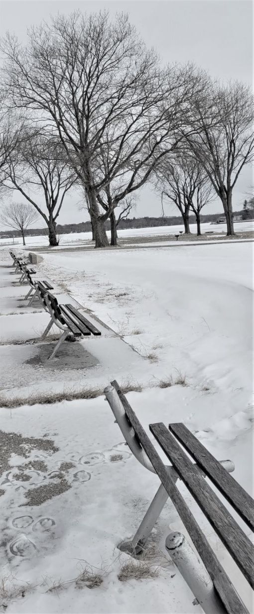 resized row of beach benches in winter 020322