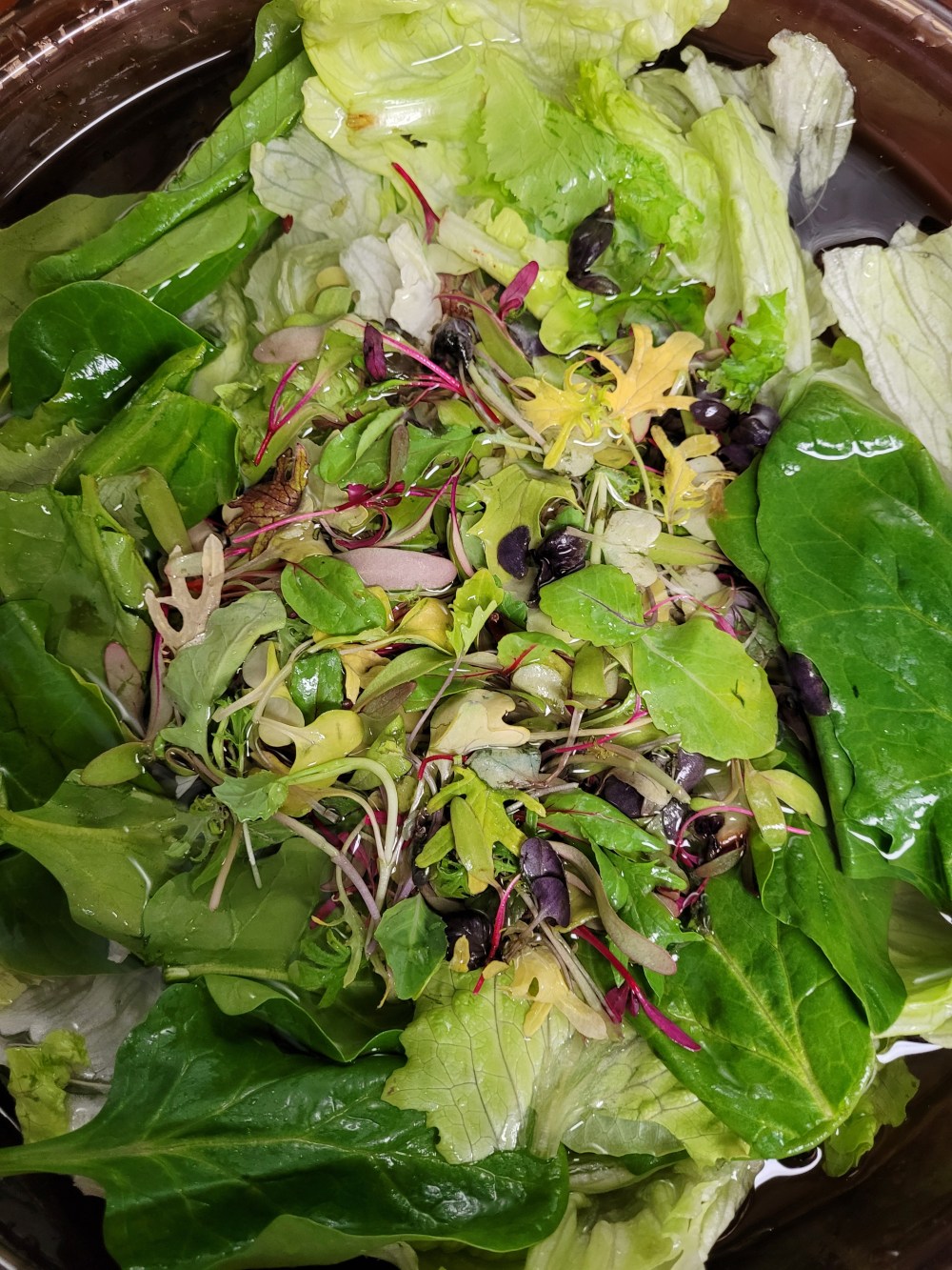 soaking salad greens 020122