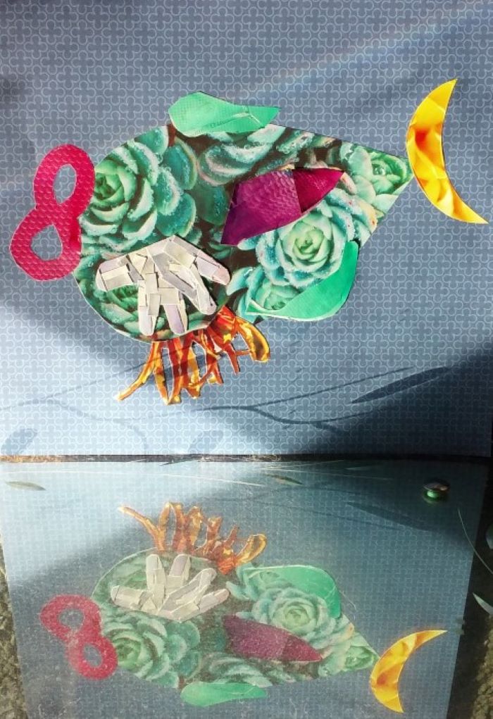 modified cloudfish image