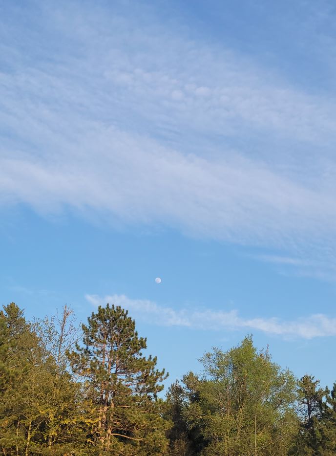 resized lady luna rising 051322