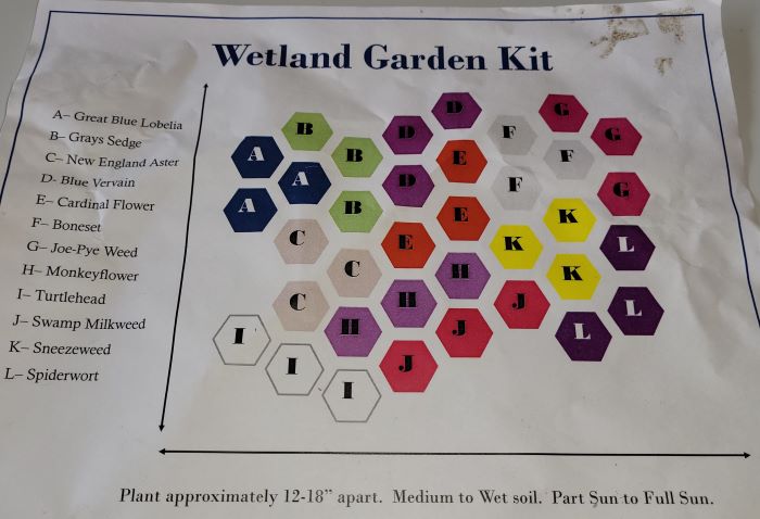 resized wetland garden kit sheet 051422