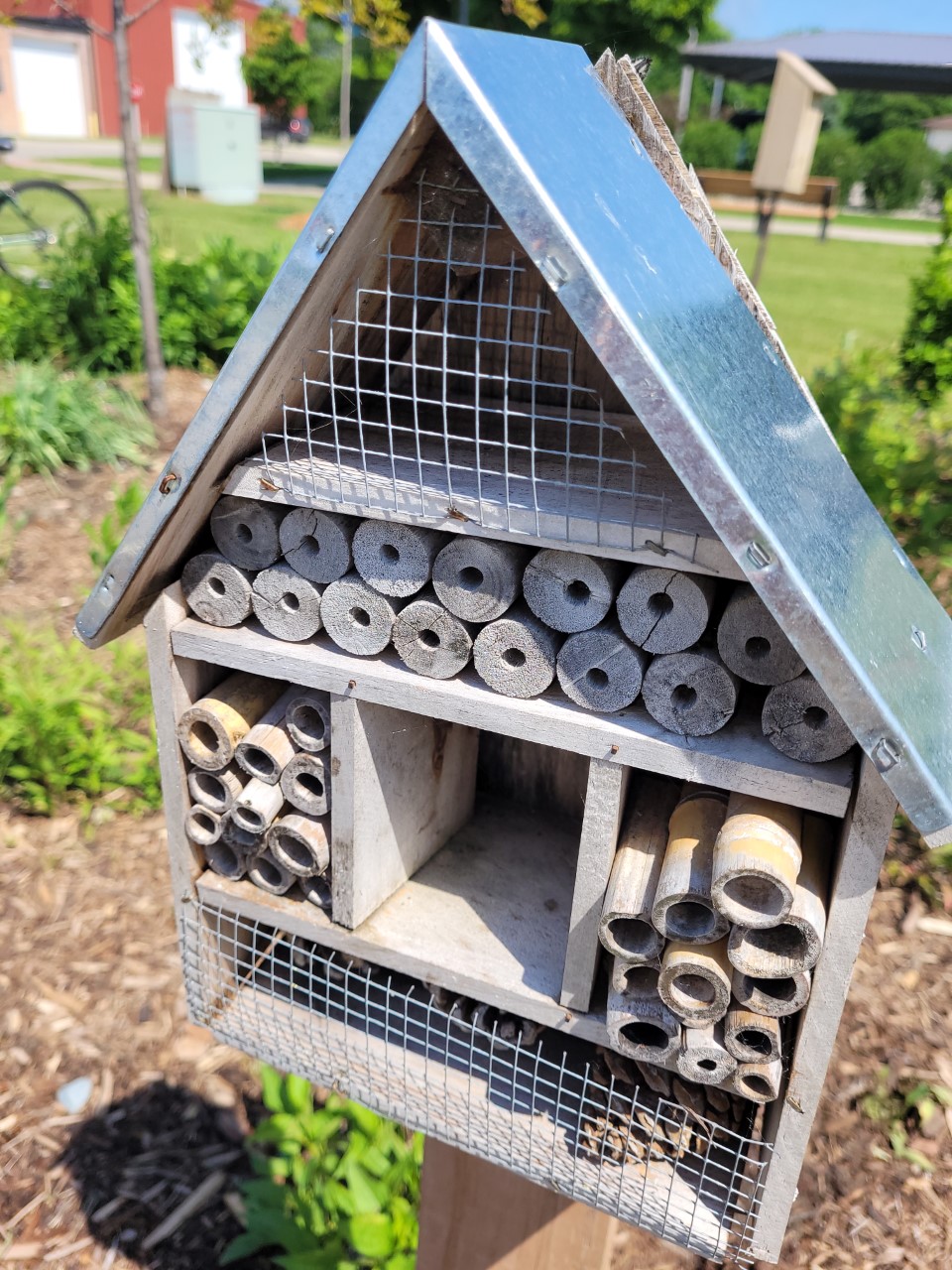bug house in spring lake on bike ride 060922